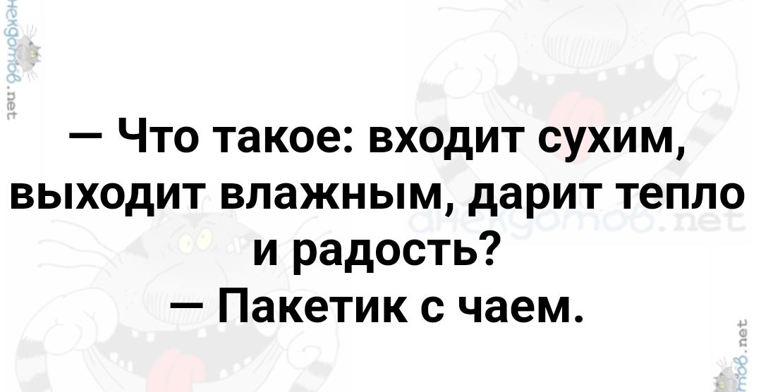 Что такое входит сухим выходит влажным дарит тепло и радость Пакетик с чаем