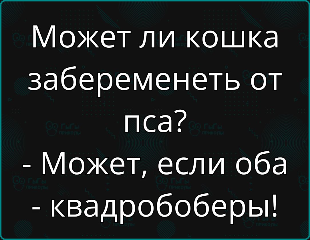 Может ли кошка забеременеть от пса Может если оба квадробоберы