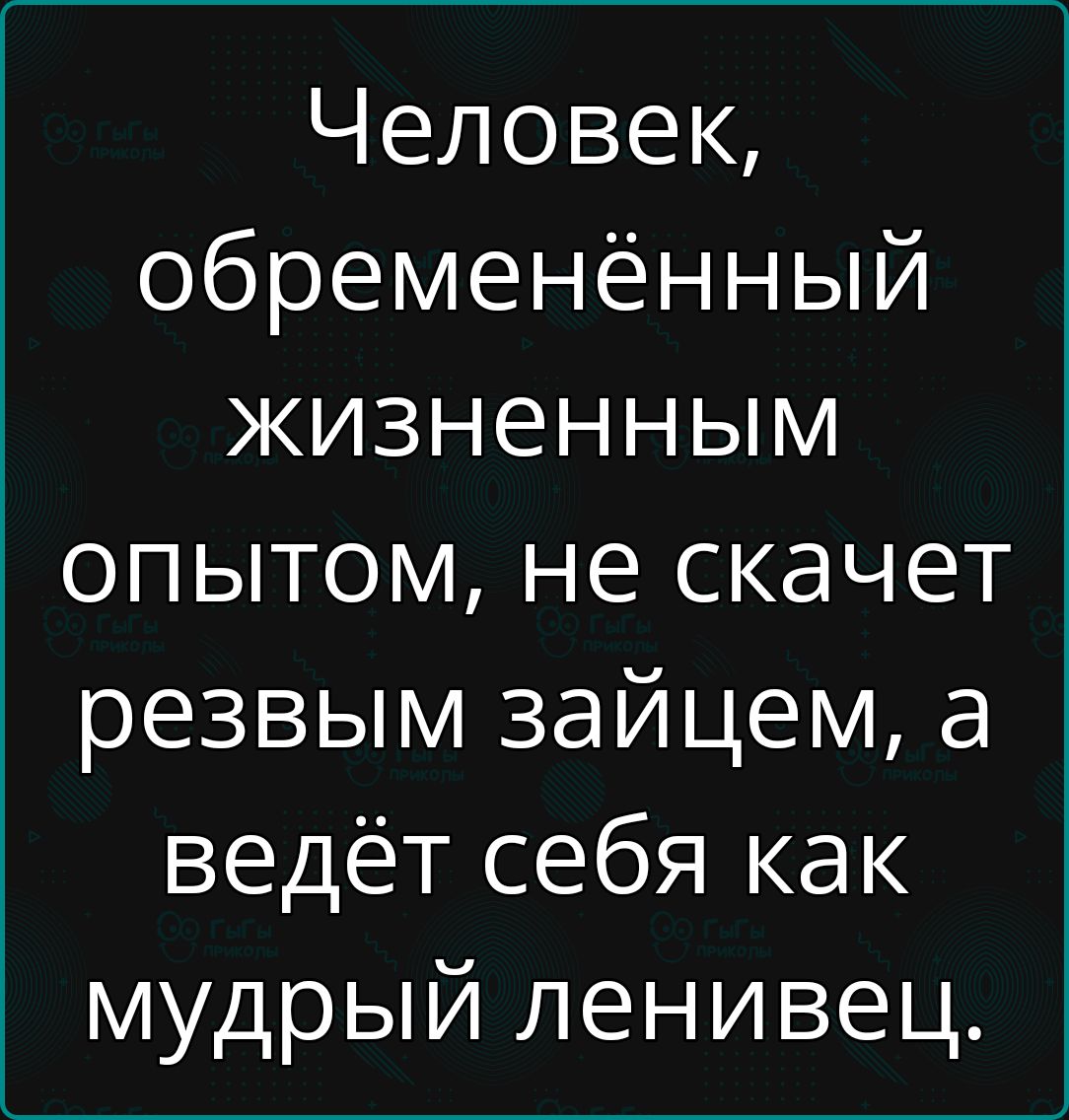 Человек обременённый жизненным опытом не скачет резвым зайцем а ведёт себя как мудрый ленивец