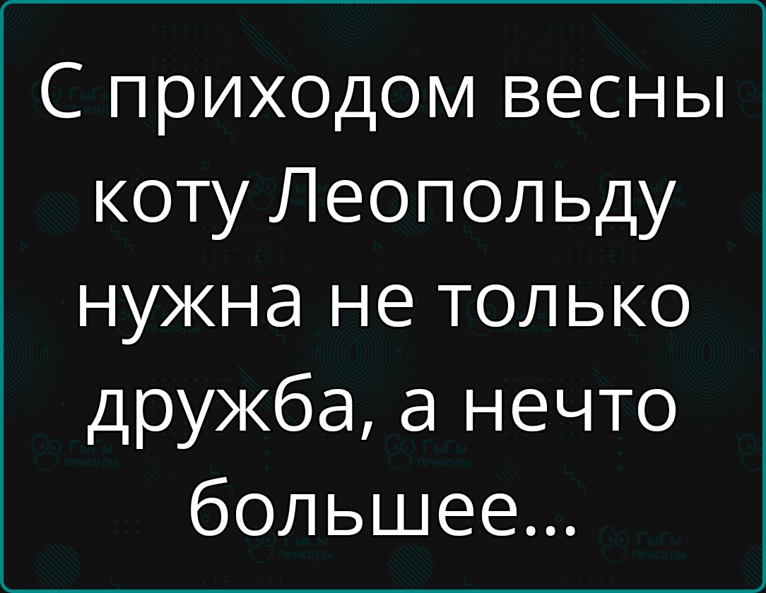 С приходом весны коту Леопольду нужна не только дружба а нечто большее