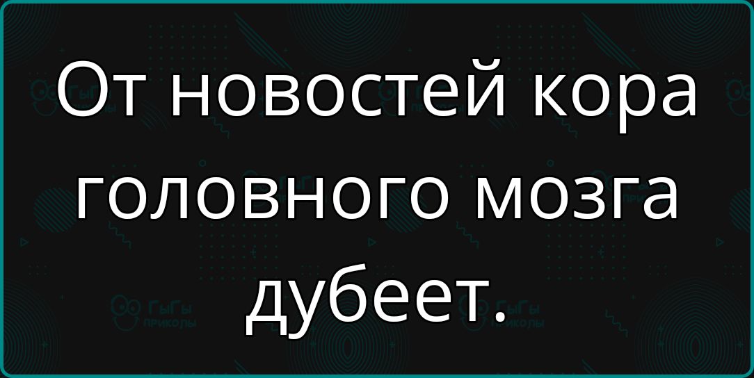 От новостей кора головного мозга дубеет