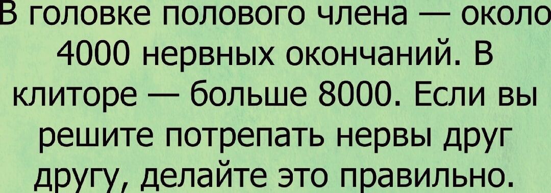 5 головке полового члена около 4000 нервных окончаний В клиторе больше 8000 Если вы решите потрепать нервы друг другу делайте это правильно