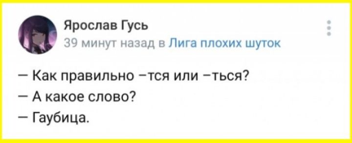 Ярослав Гусь 39 минут назад в Лига плохих шуток Как правильно тся или ться Акакое слово Гаубица