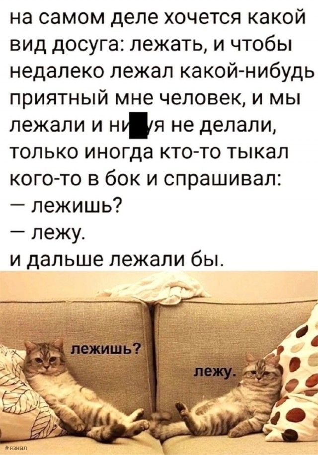 На самом деле хочется какой вид досуга: лежать, и чтобы недалеко лежал какойнибудь приятный мне человек, и мы лежали и ну'я не делали, только иногда ктото тыкал когото в бок и спрашивал:  лежишь?  Лежу. И дальше лежали бы.