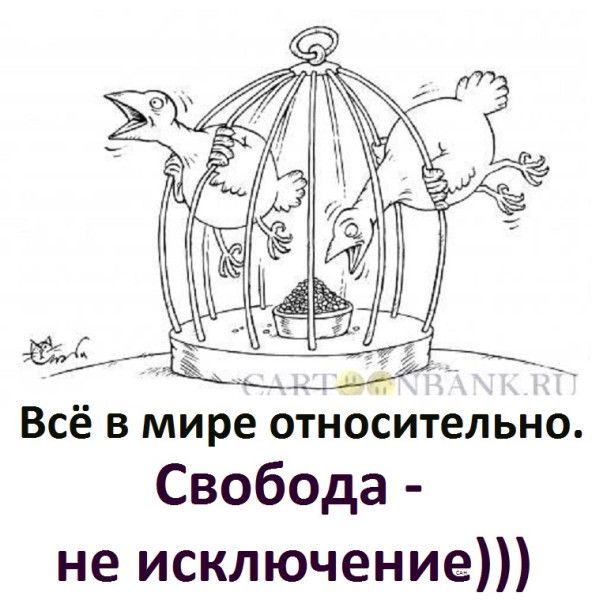 Всё в мире относительно.
Свобода - не исключение)))