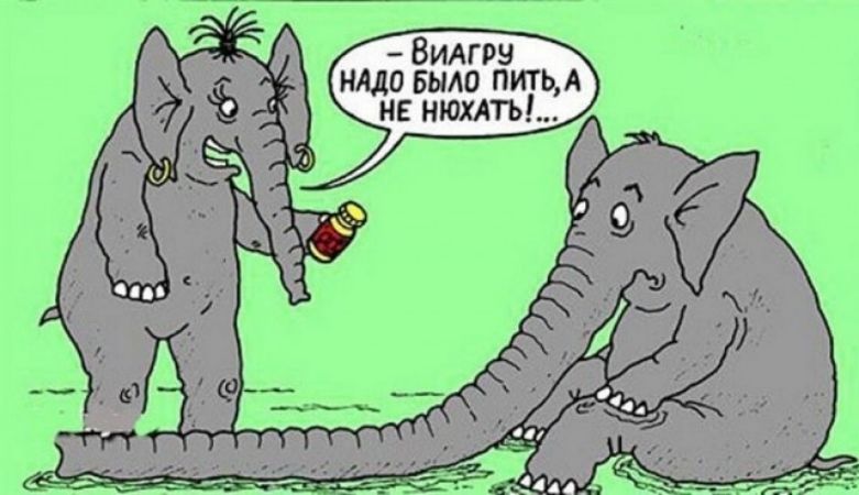 – Виагру надо было пить, а не нюхать!...