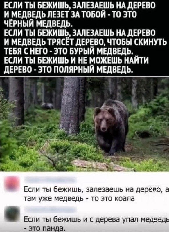 Если ты бежишь, залезаешь на дерево и медведь лезет за тобой - то это черный медведь.
Если ты бежишь, залезаешь на дерево и медведь трясет дерево, чтобы скинуть тебя с него - это бурый медведь.
Если ты бежишь и не можешь найти дерево - это полярный медведь.

Если ты бежишь, залезаешь на дерево, а там уже медведь - то это коала.
Если ты бежишь и с дерева упал медведь - это панда.