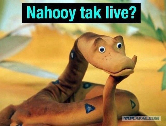 Nahoooy tak live?