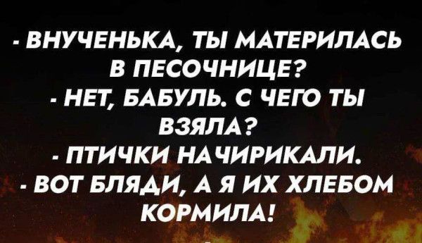 - ВНУЧЕНЬКА, ТЫ МАТЕРИЛАСЬ В ПЕСОЧНИЦЕ?
- НЕТ, БАБУЛЬ. С ЧЕГО ТЫ ВЗЯЛА?
- ПТИЧКИ НАЧИРИКАЛИ.
- ВОТ БЛЯДИ, А Я ИХ ХЛЕБОМ КОРМИЛА!