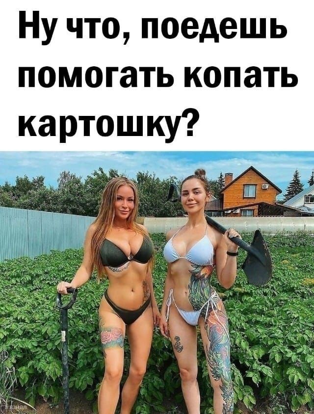 Ну что, поедешь помогать копать картошку?
