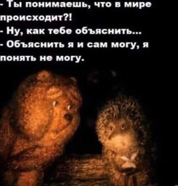 Ты понимаешь, что в мире происходит?!
- Ну, как тебе объяснить...
- Объяснить я и сам могу, я понять не могу.