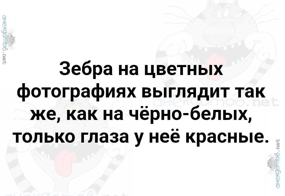 Зебра на цветных фотографиях выглядит так же, как на чёрно-белых, только глаза у неё красные.