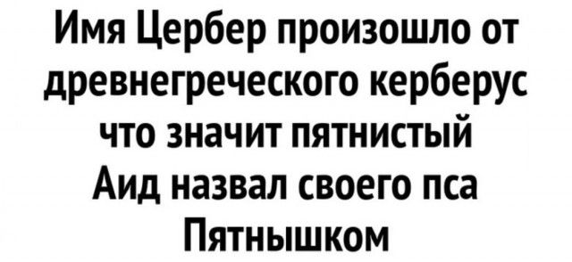 Имя Цербер произошло от древнегреческого керберус что значит пятнистый Аид назвал своего пса Пятнышком