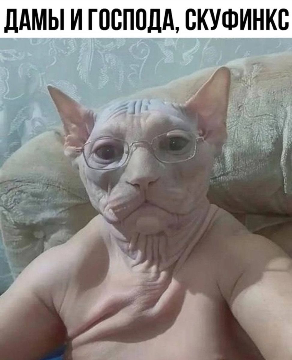ДАМЫ И ГОСПОДА, СКУФИНКС