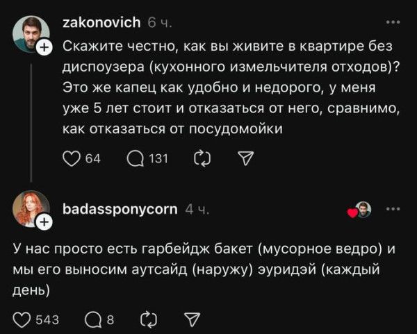 Скажите честно, как вы живите в квартире без диспозера (кухонного измельчителя отходов)? Это же капец как удобно и недорого, у меня уже 5 лет стоит и отказаться от него, сравнительно, как отказаться от посудомойки
У нас просто естьGarbage Bucket (мусорное ведро) и мы его выносим аутсайд (наружу) эуридж (каждый день)
