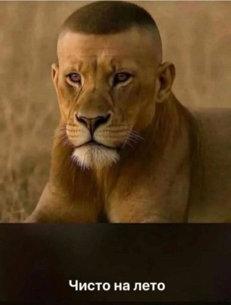 Чисто на лето
