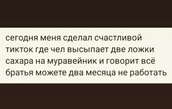 сегодня меня сделал счастливой тикток где чел высыпает две ложки сахара на муравейник и говорит всё братья можете два месяца не работать