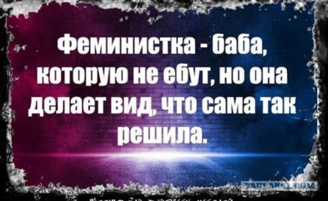 Феминистка - баба, которую не ебут, но она делает вид, что сама так решила.