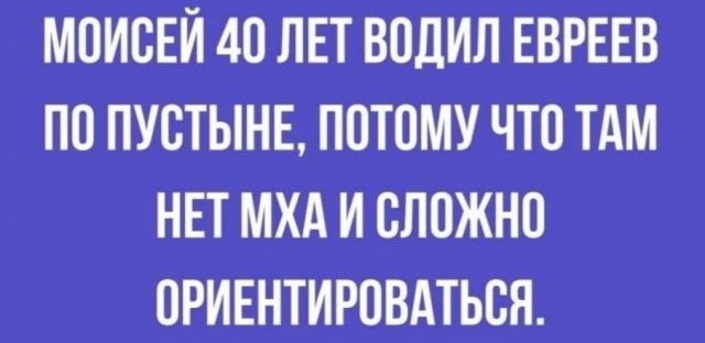 МОИСЕЙ 40 ЛЕТ ВОДИЛ ЕВРЕЕВ ПО ПУСТЫНЕ, ПОТОМУ ЧТО ТАМ НЕТ МХА И СЛОЖНО ОРИЕНТИРОВАТЬСЯ.