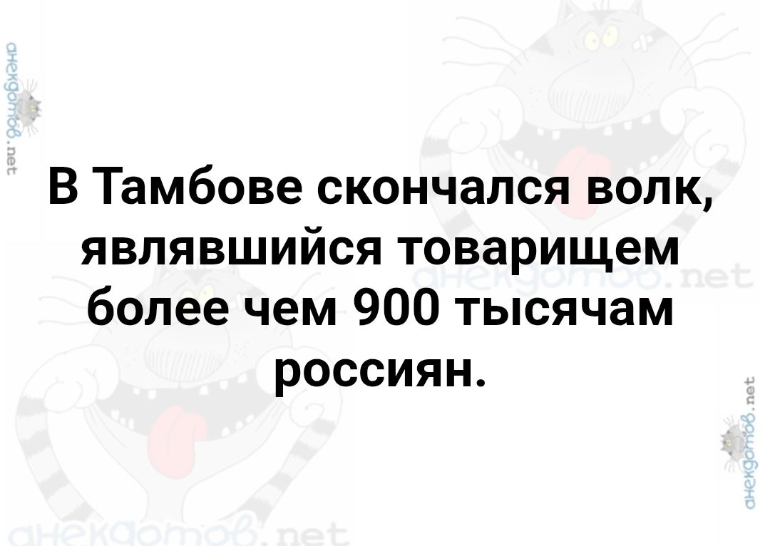 В Тамбове скончался волк, являвшийся товарищем более чем 900 тысячам россиян.