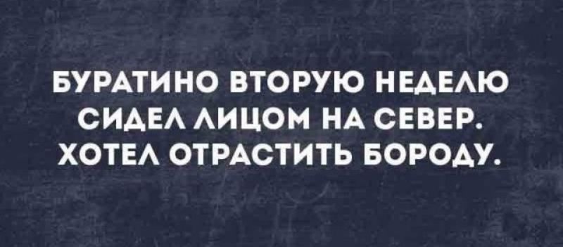 Буратино вторую неделю сидел лицом на север. Хотел отрастить бороду.