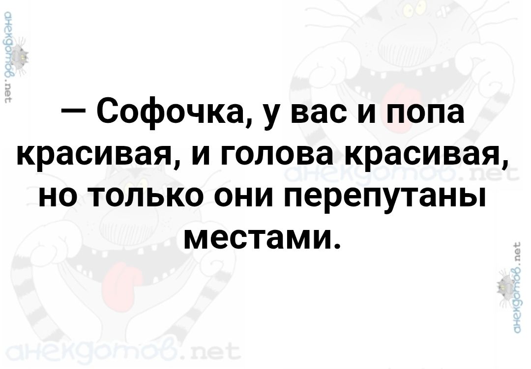 — Софочка, у вас и попа красивая, и голова красивая, но только они перепутаны местами.