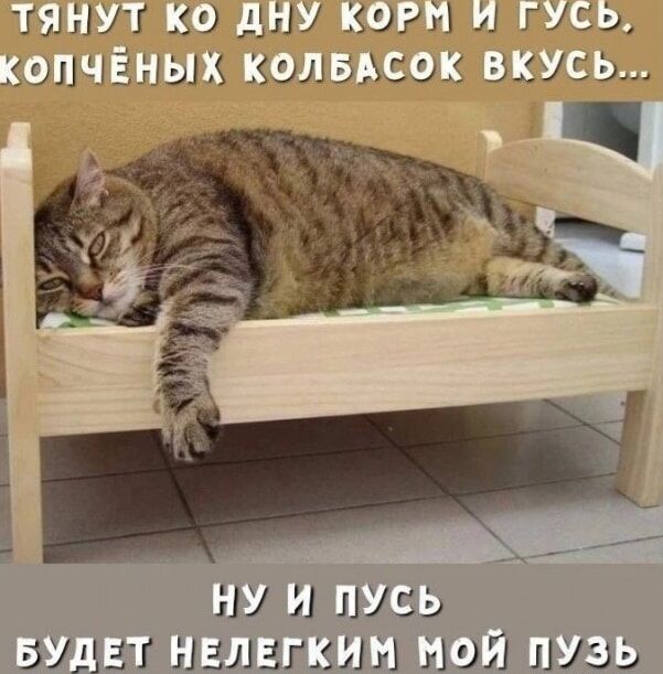 тянут ко дну корм и гусь, копчёных колбасок вкус... ну и пусть будет нелегким мой пузь