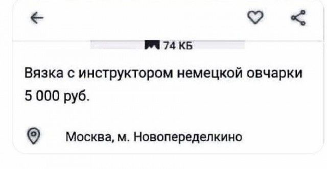 Вязка с инструктором немецкой овчарки 5 000 руб.
Москва, м. Новопеределкино