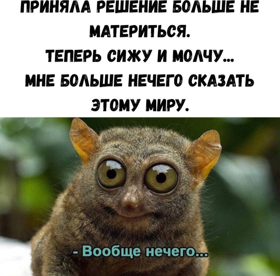 ПРИНЯЛА РЕШЕНИЕ БОЛЬШЕ НЕ МАТЕРИТЬСЯ. ТЕПЕРЬ СИЖУ И МОЛЧУ... МНЕ БОЛЬШЕ НЕЧЕГО СКАЗАТЬ ЭТОМУ МИРУ.
- Вообще нечего...