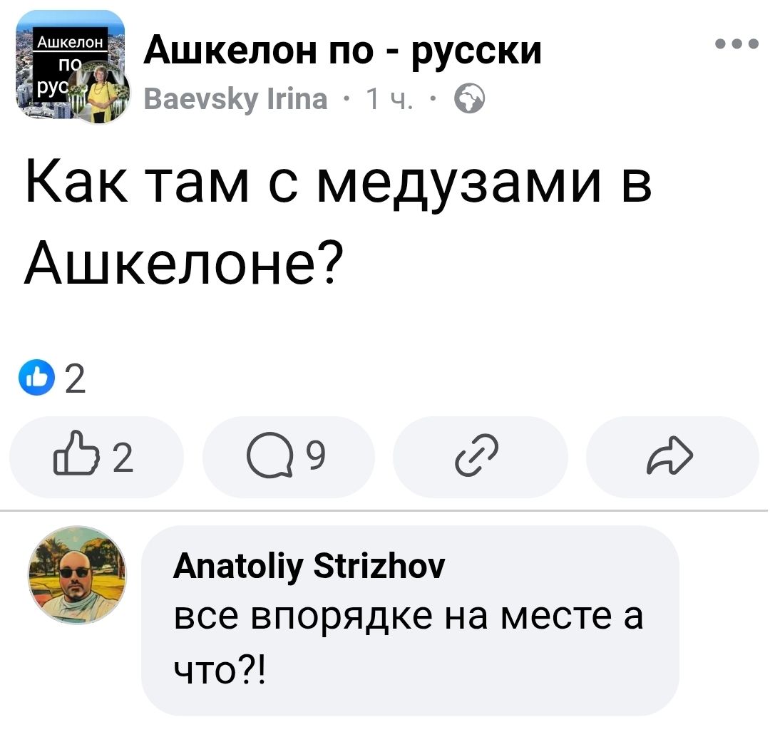 Как там с медузами в Ашкелоне?
все в порядке на месте а что?!