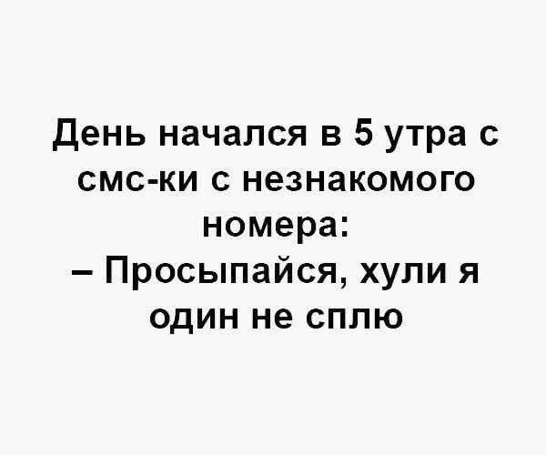 День начался в 5 утра с смс-ки с незнакомого номера:
– Просыпайся, хули я один не сплю