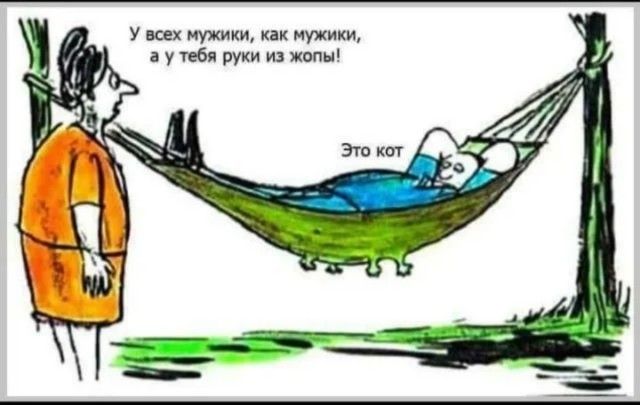 У всех мужики, как мужики, а у тебя руки из жопы! Это кот