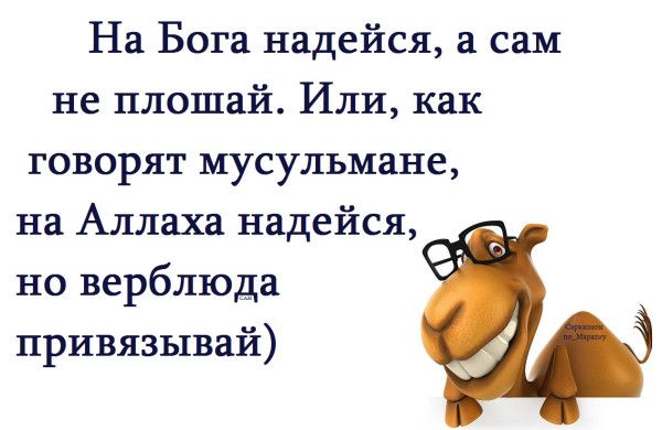 На Бога надейся, а сам не плошай. Или, как говорят мусульмане, на Аллаха надейся, но верблюда привязывай)