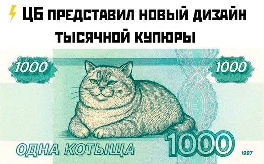 ЦБ представил новый дизайн тысячной купюры

ОДНА КОТЫШКА