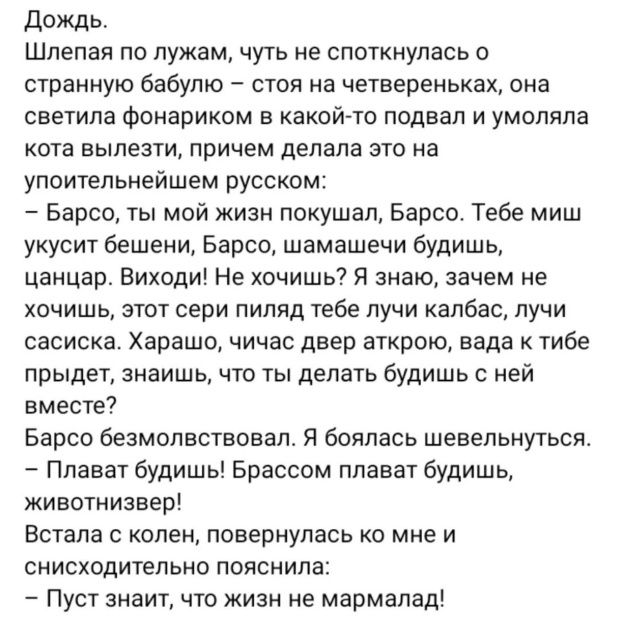 Дождь.
Шлепая по лужам, чуть не споткнулась о странную бабулю – стоя на четвереньках, она светила фонариком в какой-то подвал и умоляла кота вылезти, причем делала это на неповторимом русском:
– Барсо, ты мой жизнь покушал, Барсо. Тебе мишу уксус бешеный, Барсо, шевелишь будишь, цанцар. Выходи! Не хочешь? Я знаю, зачем не хочешь! У тебя на пидже лукой клабас, лунь сасская. Хорошо, чихас двер аткро, сода к тебе придет, знаешь, что делать будишь с ней вместе?
Барсо безмостовства. Я боялась шевельнуться.
– Плава будишь! Брассом плават будишь, животными! 
Встала с колен, повернулась ко мне и снисходительно пояснила:
– Пусть знает, что жизнь не мармелад!