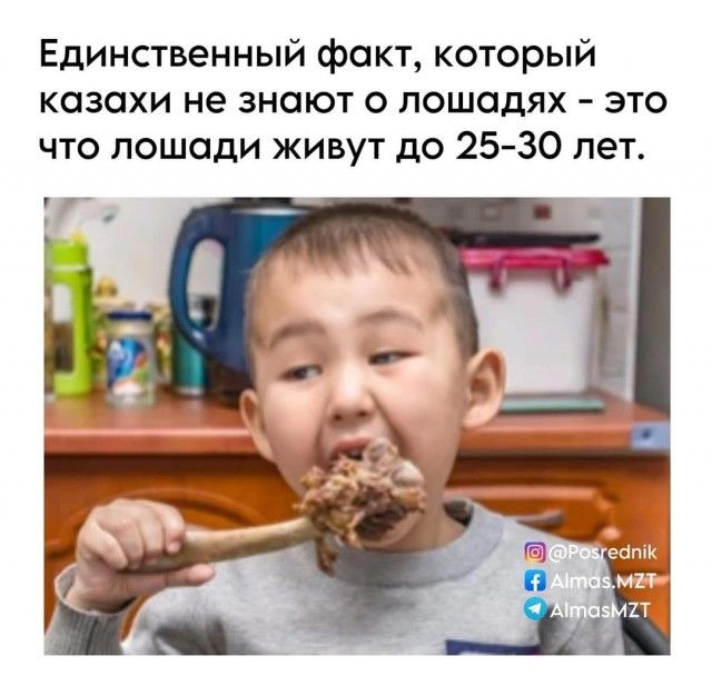 Единственный факт, который казахи не знают о лошадях – это что лошади живут до 25-30 лет.