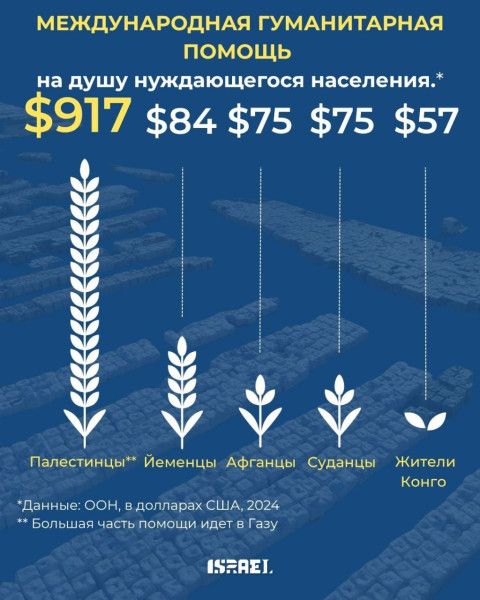 МЕЖДУНАРОДНАЯ ГУМАНИТАРНАЯ ПОМОЩЬ на душу нуждающегося населения.*
$917  $84  $75  $75  $57
Палестинцы**  Йеменцы  Афганцы  Суданцы  Жители Конго
Данные: ООН, в долларах США, 2024
** Большая часть помощи идет в Газу.