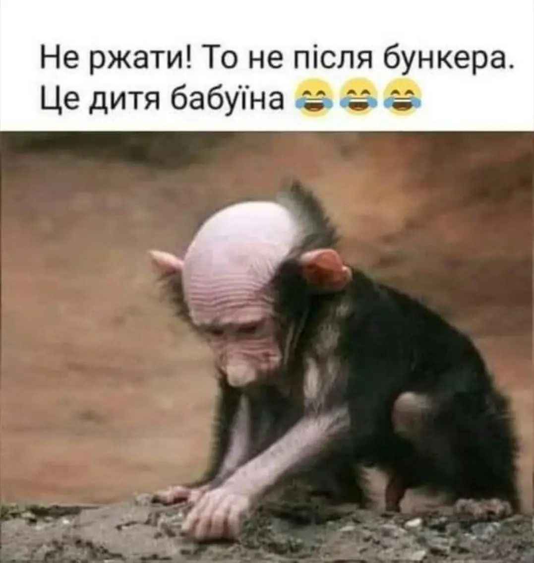 Не ржати! То не після бункера. Це дитя бабіїна 😂😂😂