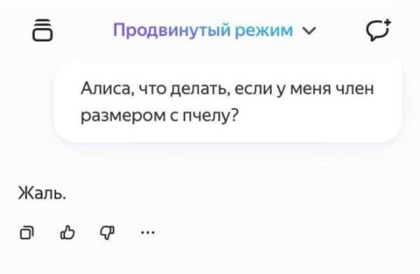 Алиса, что делать, если у меня член размером с пчелу?
Жаль.