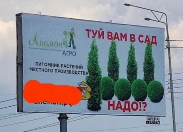 ТУЙ Вам в сад НУДО!? Питомник растений местного производства