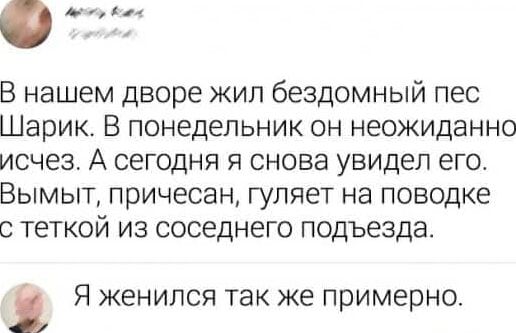 В нашем дворе жил бездомный пес Шарик. В понедельник он неожиданно исчез. А сегодня я снова увидел его. Вымыт, причесан, гуляет на поводке с тёткой из соседнего подъезда.
Я женился так же примерно.