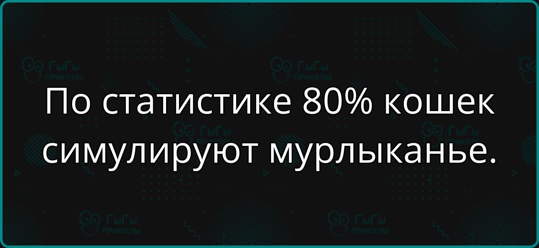 По статистике 80% кошек симулируют мурлыкание.