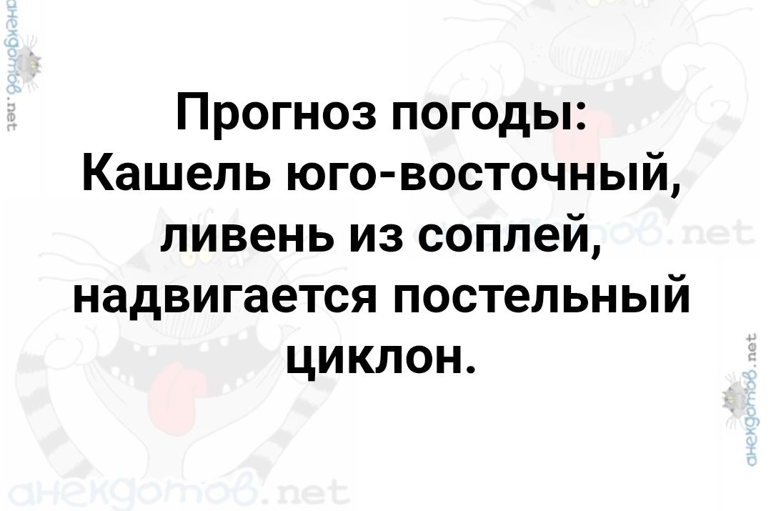 Прогноз погоды: Кашель юго-восточный, ливень из соплей, надвигается постельный циклон.