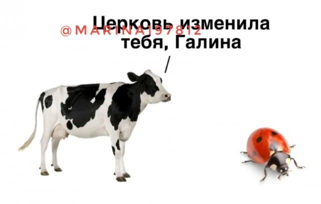 Цепковь изменила тебя, Галина