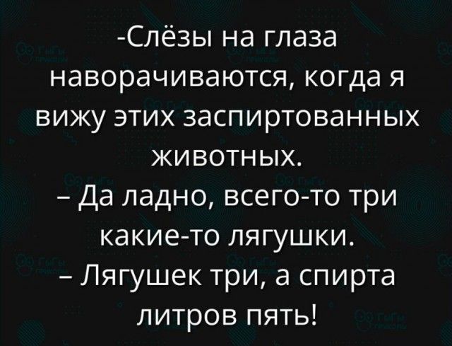 -Слёзы на глаза наворачиваются, когда я вижу этих заспиртованных животных.
- Да ладно, всего-то три какие-то лягушки.
- Лягушек три, а спирта литров пять!