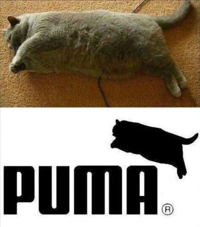 PUMA