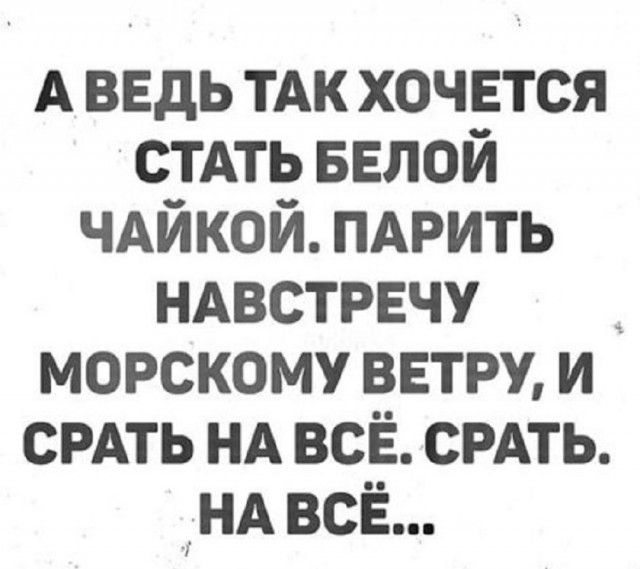 А ВЕДЬ ТАК ХОЧЕТСЯ СТАТЬ БЕЛОЙ ЧАЙКОЙ. ПАРИТЬ НАВСТРЕЧУ МОРСКОМУ ВЕТРУ, И СРАТЬ НА ВСЁ. СРАТЬ. НА ВСЁ...