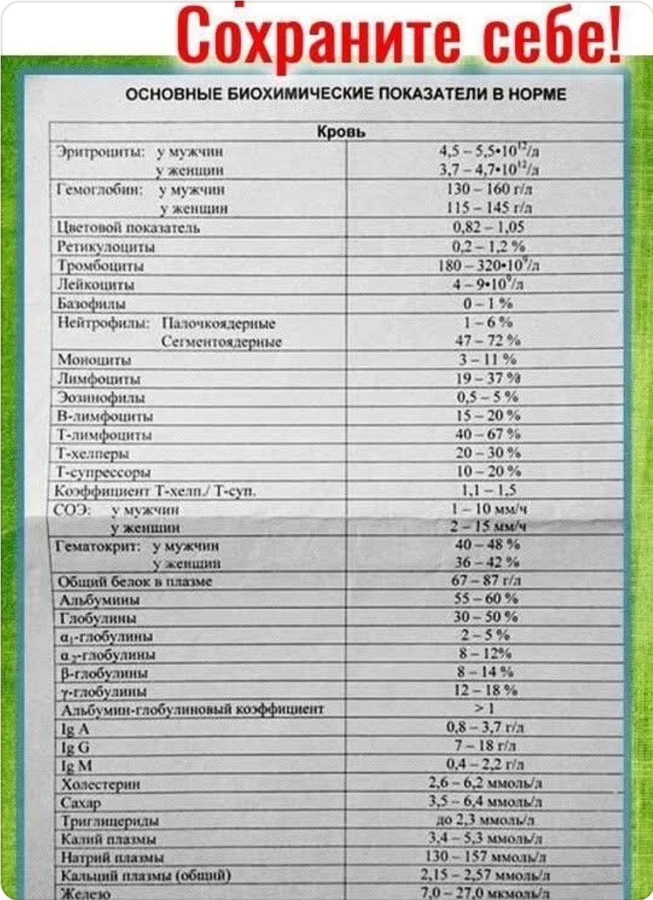 Сохраните себе!

ОСНОВНЫЕ БИОХИМИЧЕСКИЕ ПОКАЗАТЕЛИ В НОРМЕ

Кровь

Эритроциты: у мужчин 4,5 - 5,5*10^12 /л; у женщин 3,7 - 4,7*10^12 /л
Гемоглобин: у мужчин 135 - 145 г/л; у женщин 120 - 140 г/л
Цветовой показатель
Ретикулоциты 0,2 - 12 %
Тромбоциты 180 - 320*10^9 /л
Лейкоциты
Базофилы
Нейтрофилы: Паличкоядерные 40 - 70 %; Сегментоядерные 47 - 72 %
Моноциты 3 - 11 %
Лимфоциты
Эозинофилы
Б-лимфоциты
Т-лимфоциты
Коэффициент Т-хелп/Т-суп
CO2: у мужчин 24 - 30 ммоль/л; у женщин
Температура: у мужчин 36 - 37.2 °C; у женщин 36 - 37.3 °C
Общий белок в плазме

.... (продолжение) ...