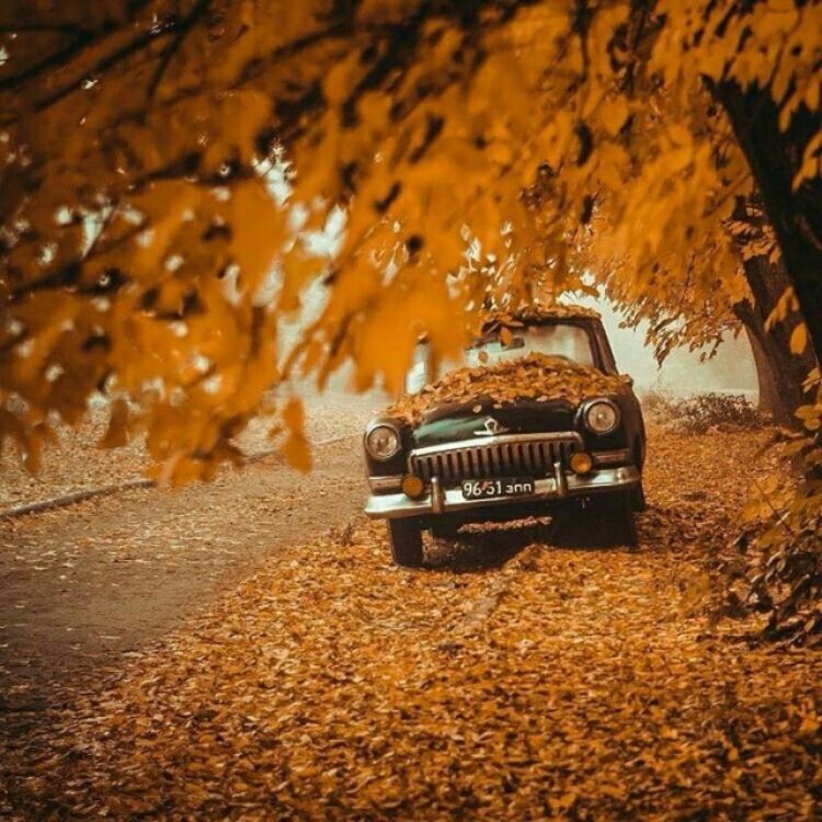 Классический автомобиль на осенней дороге, усеянной опавшими листьями.