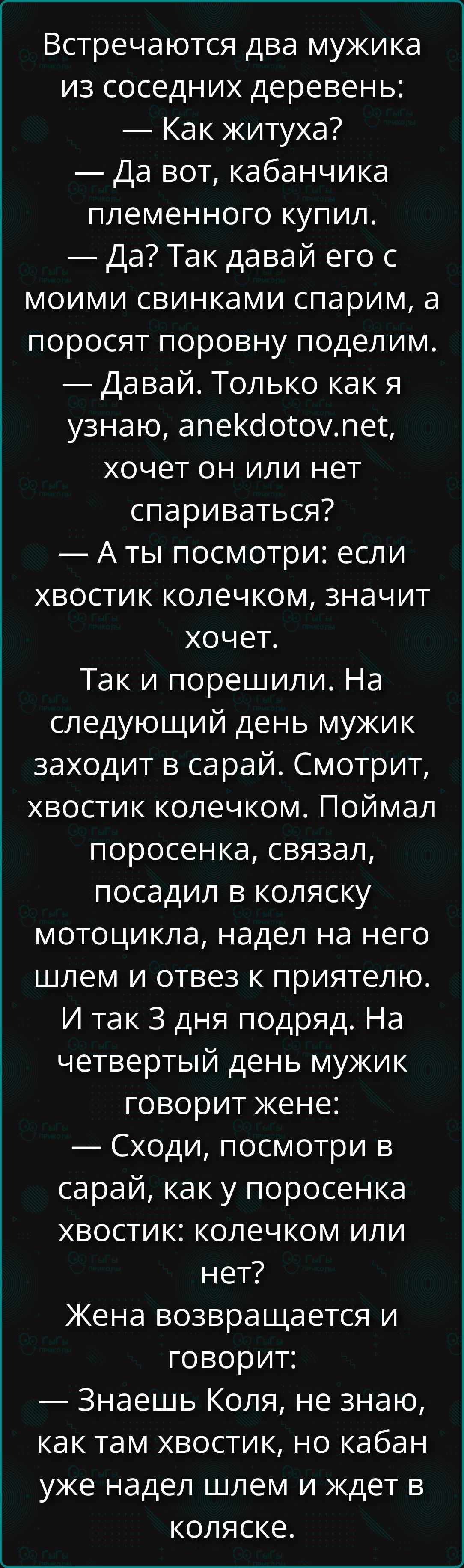 Встречаются два мужика из соседних деревень: — Как житуха? — Да вот, кабанчика купил. — Да? Так давай его с моими свинками спарим, а поросят поровну поделим. — Давай. Только как я узнаю, хочет ли он спариваться? — А ты посмотри: если хвостик колечком, значит хочет. Так и порешили. На следующий день мужик заходит в сарай. Смотрит: хвостик колечком. Поймал поросенка, связал, посадил в коляску мотоцикла, надел на него шлем и отвез к приятелю. И так 3 дня подряд. На четвертый день мужик говорит жене: — Сходи, посмотри в сарай, как у поросенка хвостик: колечком или нет? Женa возвращается и говорит: — Знаешь, Коля, не знаю, как там хвостик, но кабан уже надел шлем и ждёт в коляске.